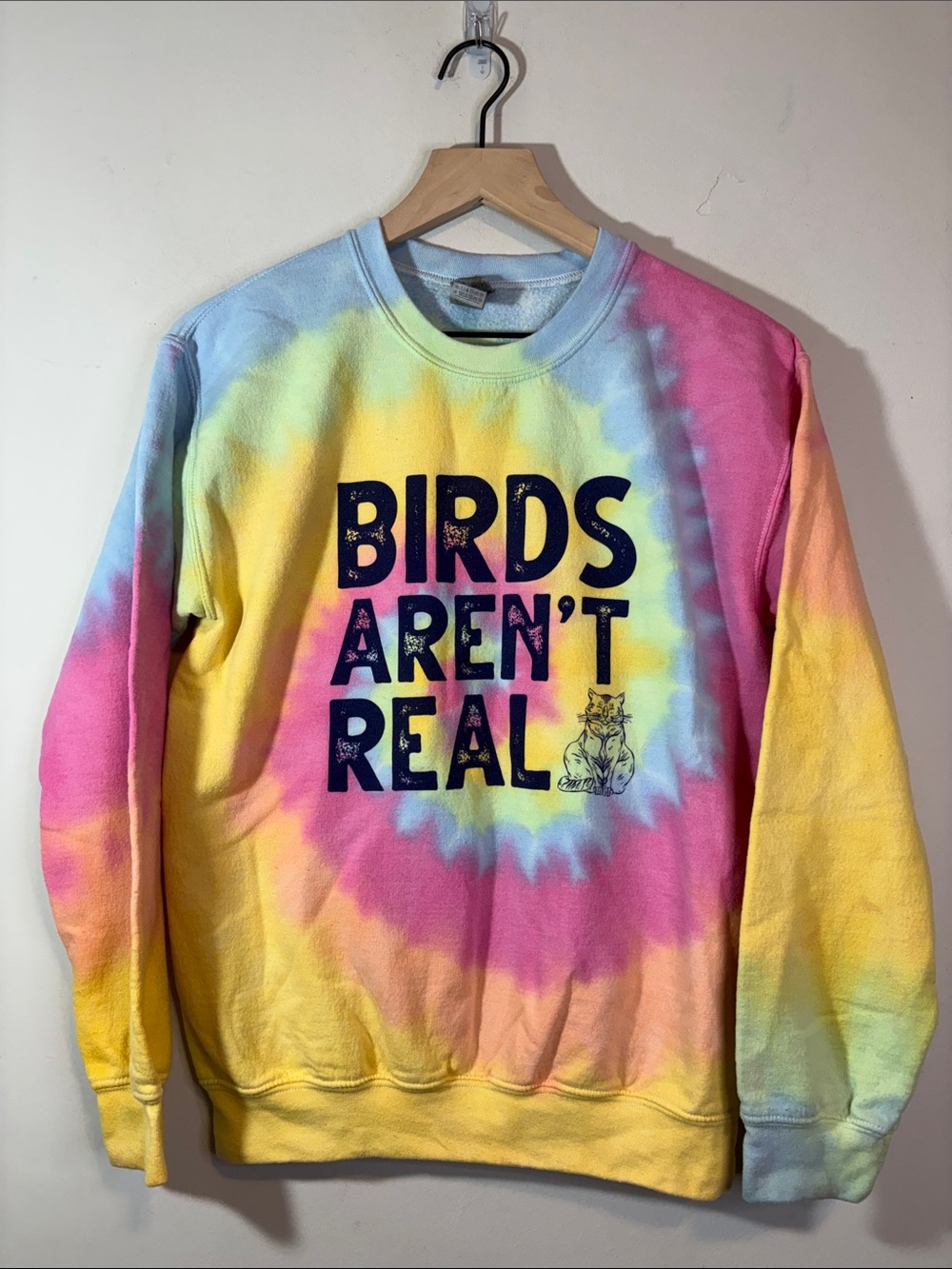 Tie Dye Birds Aren’t Real Cute Cat Graphic Silly Whimsy Fun Crewneck Sweatshirt